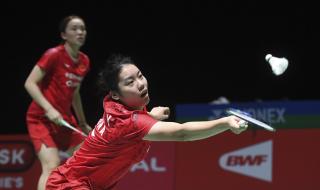 中国羽毛球锦标赛